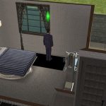 Black, square shadows under Sims