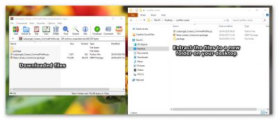 Extract the files to a new folder