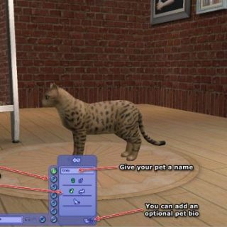 Sims 2 - Creating and exporting pets