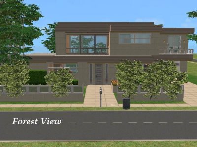 Forest Vista