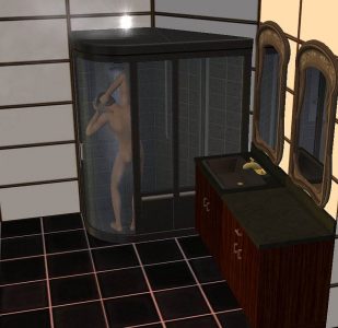 Corner Shower