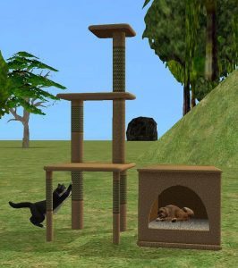 Cat Condo Space friendly