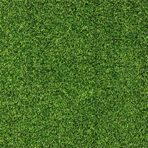 Summer Grass