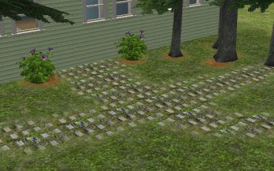 Stone Grass