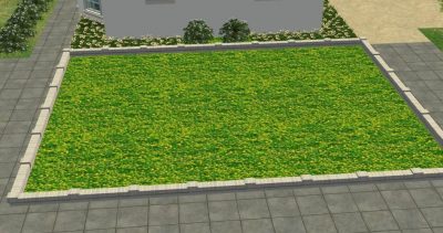 Various Grass Ground Covers