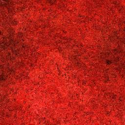 Royal Red Marble Flooring