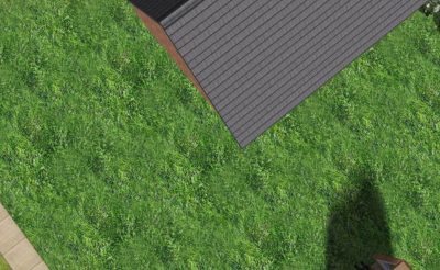 3 Grass Ground Covers