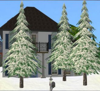 Winter Pine Tree - UPDATED