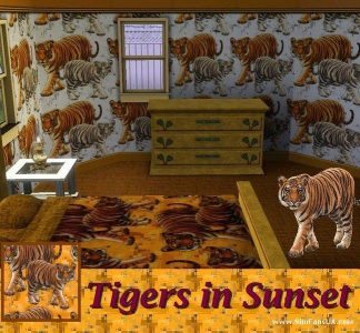 Tigers in Sunset